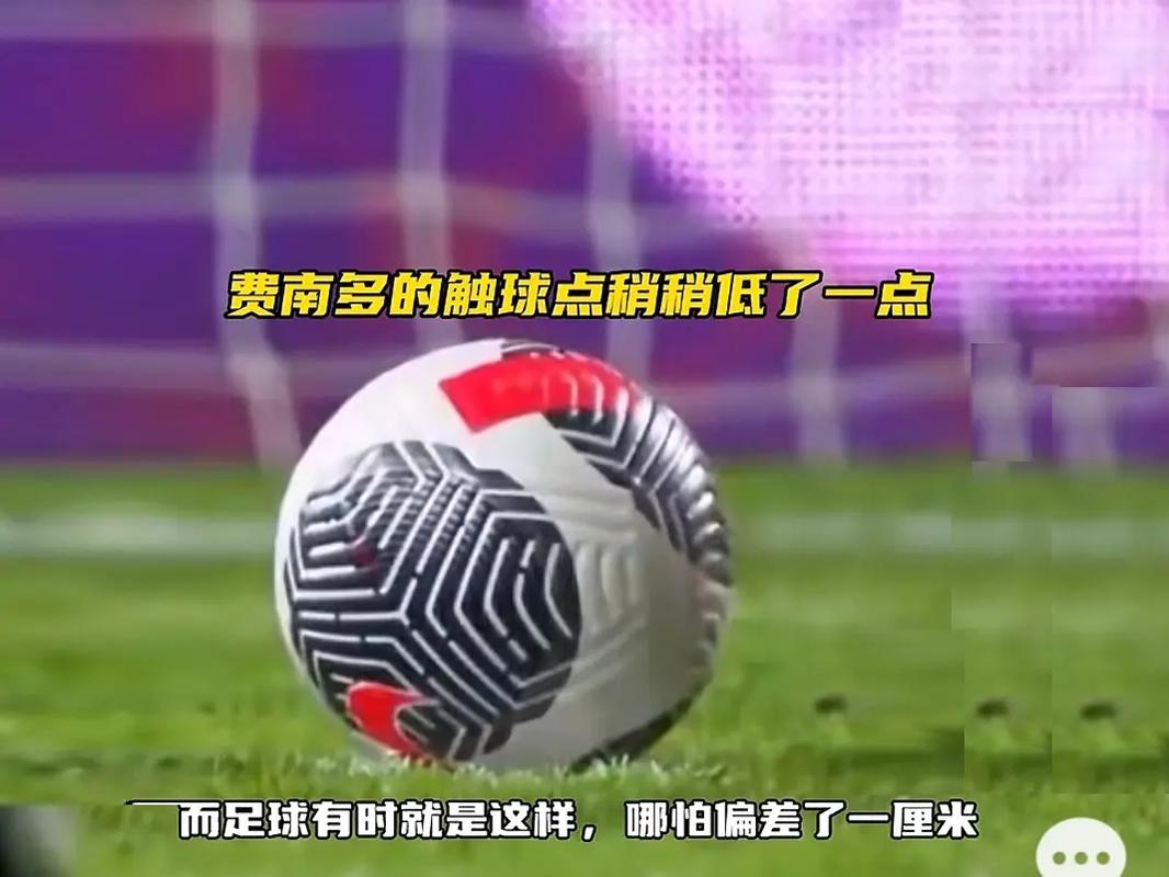 机遇与未来