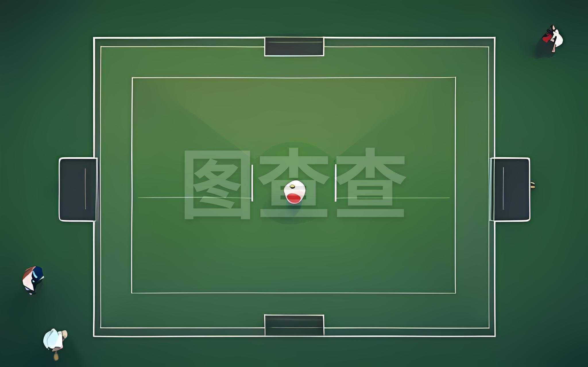 球迷和队员