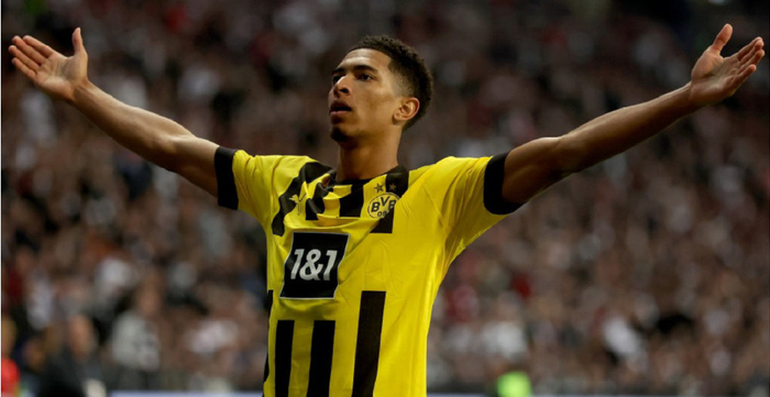 佩杜拉强调 佩杜拉强调