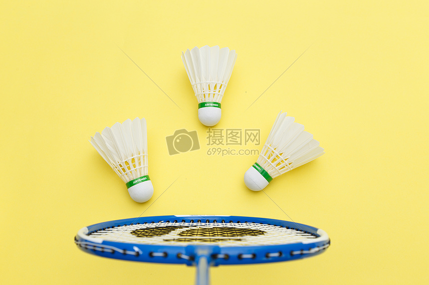 蒂亚福拥有 蒂亚福拥有